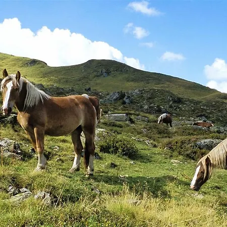 Arianne Saalbach-Hinterglemm